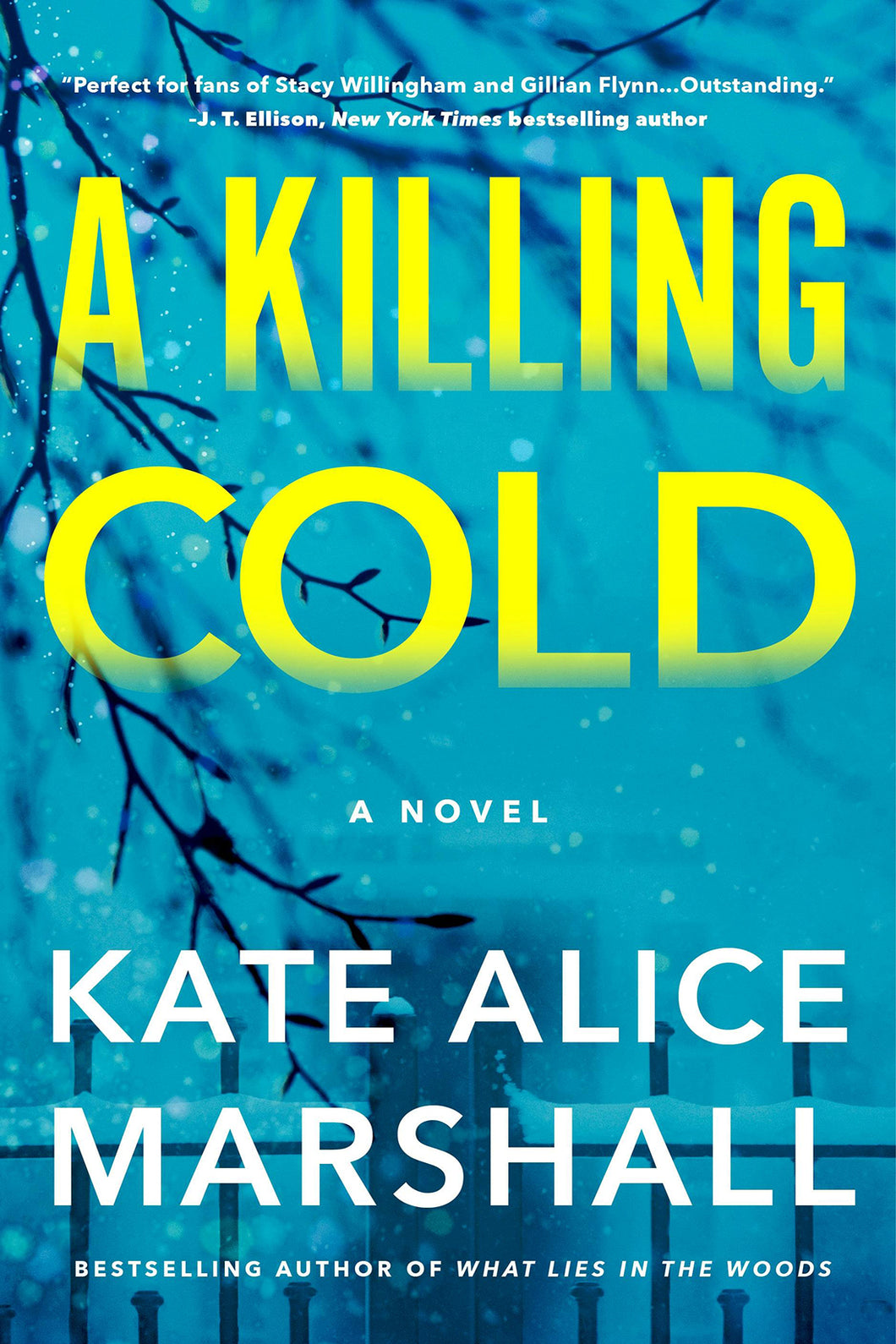 A Killing Cold by Kate Alice Marshall / PRE-ORDER FOR 2/4