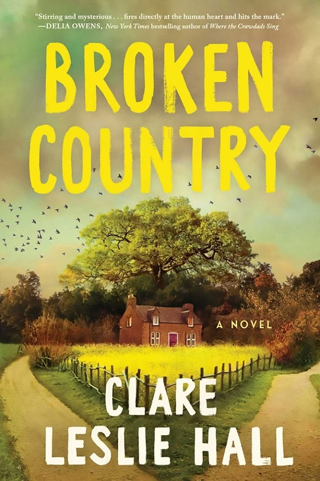 Broken Country by Clare Leslie Hall / PRE-ORDER FOR 3/4