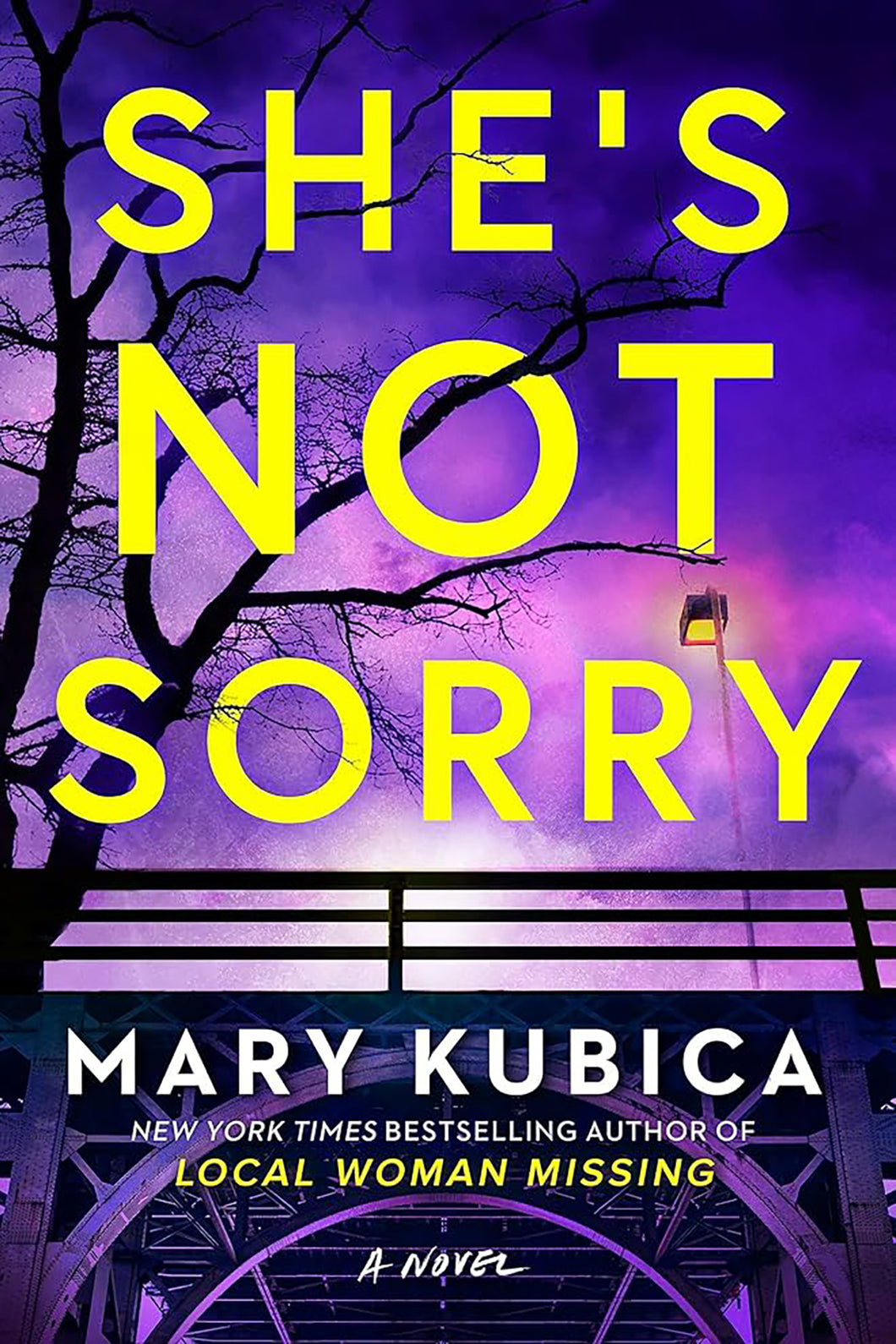 She's Not Sorry by Mary Kubica / BOOK OR BUNDLE - Starting at $30!