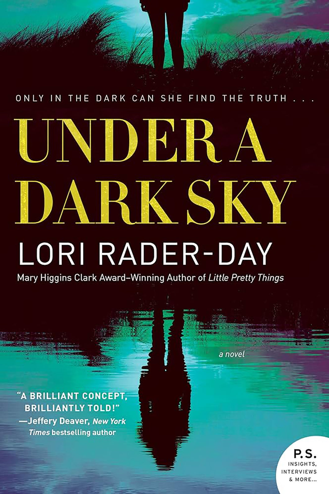 Under A Dark Sky by Lori Rader-Day / BOOK OR BUNDLE - Starting at $19!